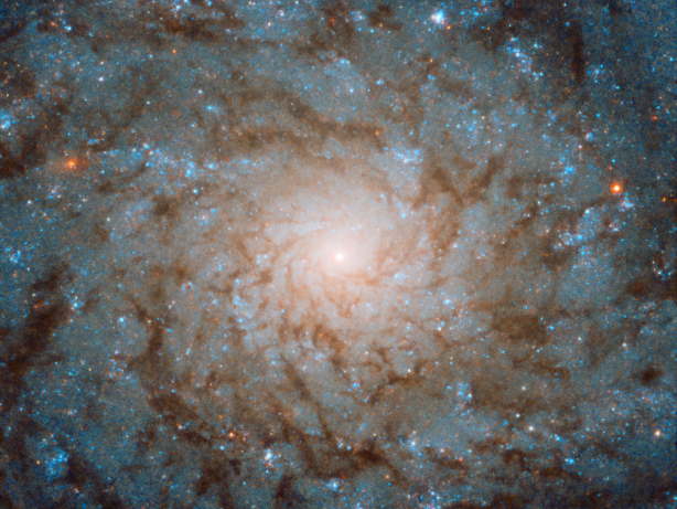 face on NGC 4689